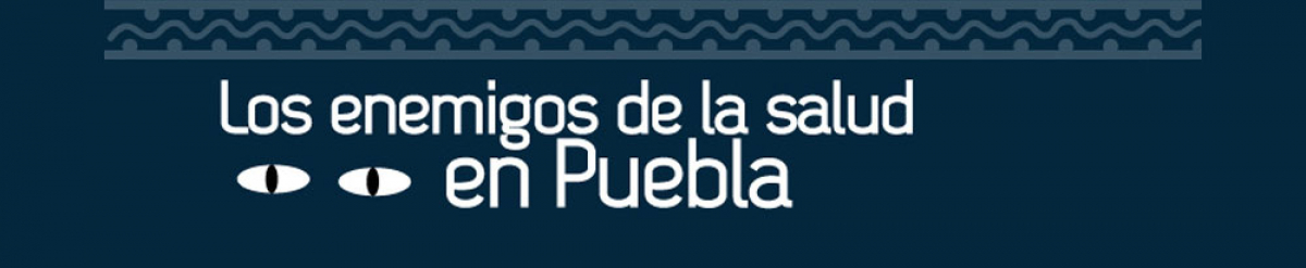 Enemigos de la salud en Puebla