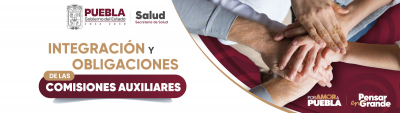 Integración y obligaciones de las Comisiones Auxiliares