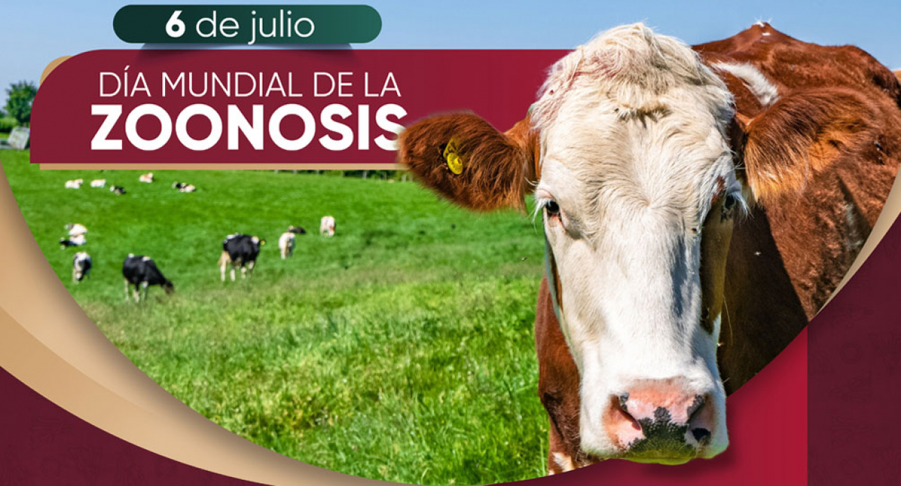 Día mundial de la Zoonosis