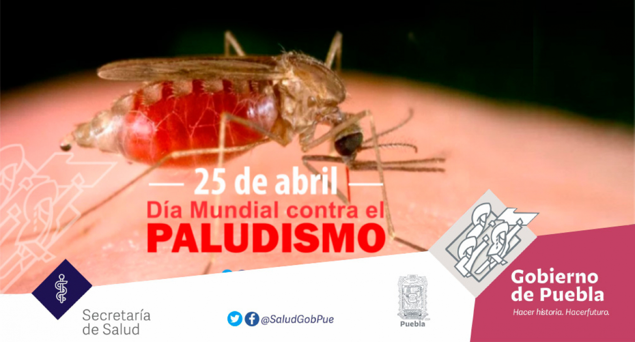 Día Mundial contra el Paludismo