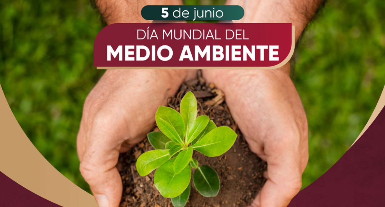 Día mundial del Medio Ambiente