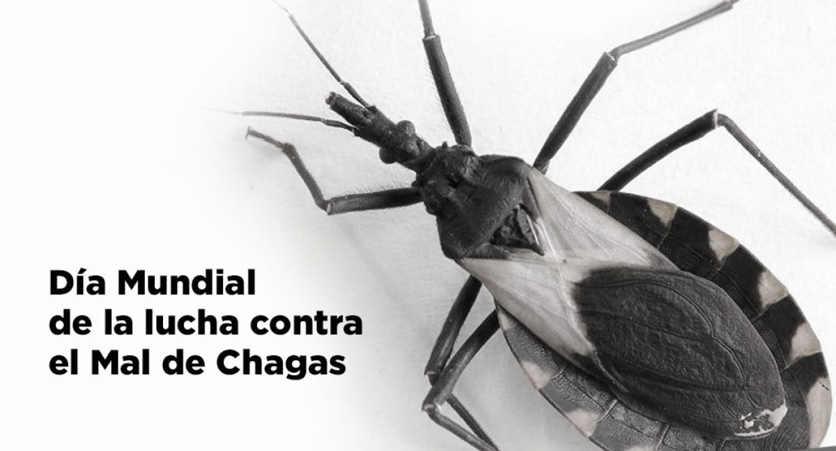 Día Mundial de la lucha contra el Mal de Chagas