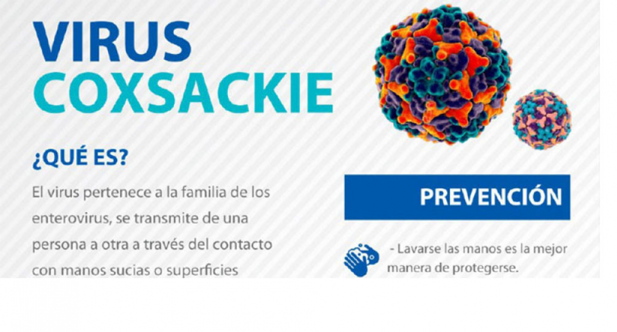 Virus Coxsackie
