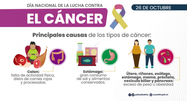 Día nacional de la lucha contra el Cáncer