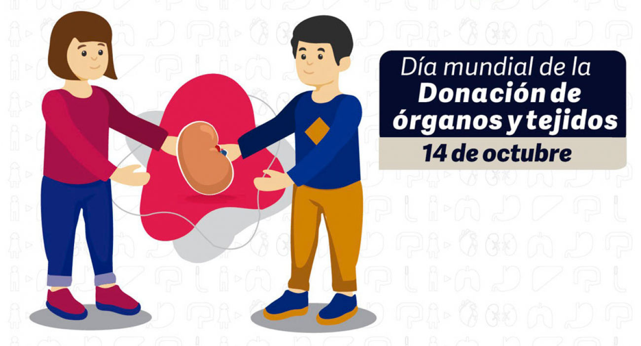 Día mundial de la Donación de órganos y tejidos