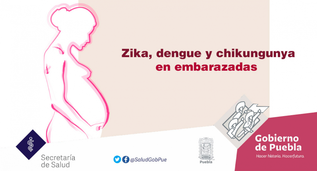 Zika, dengue y chikungunya en embarazadas